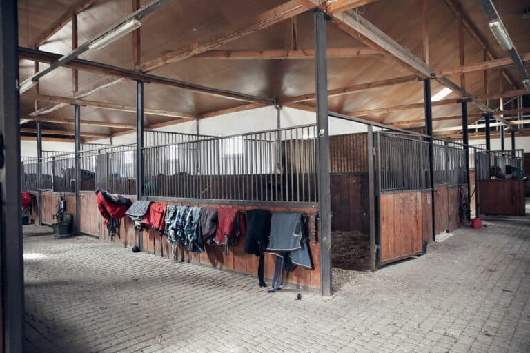 horse stalls with horse bedding options in elverson pa