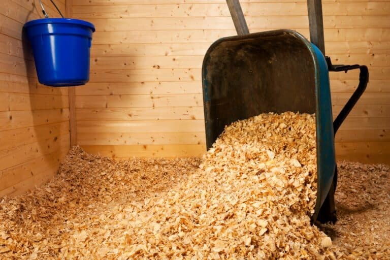 pine shavings horse bedding in coatesville pa