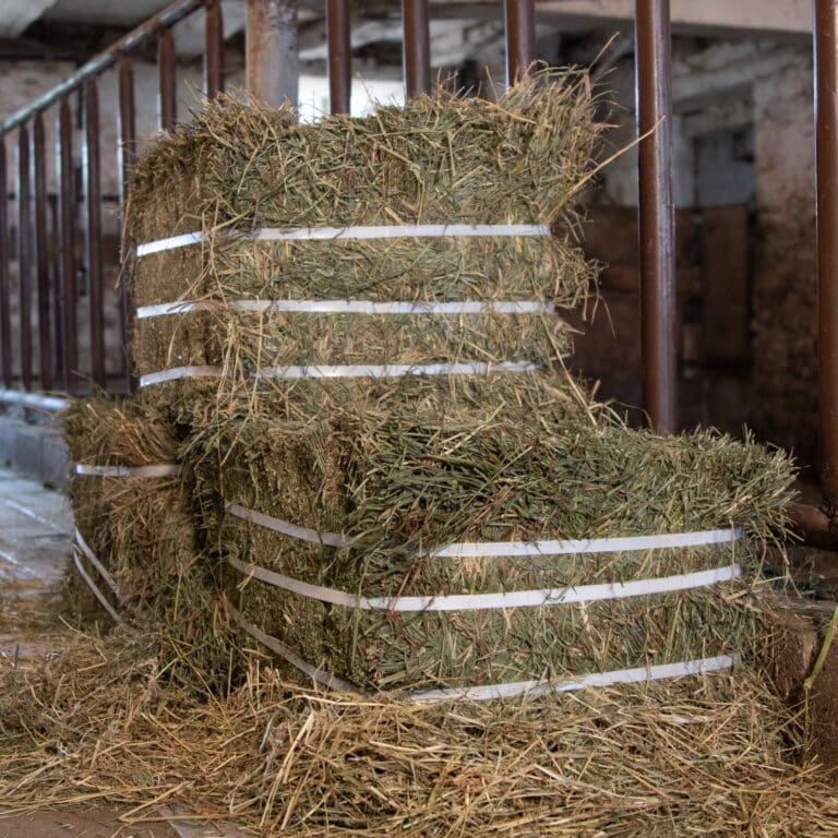 Compressed Hay Bale - Double J Farms