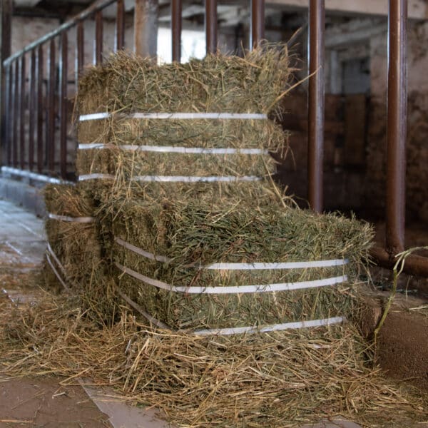 compressed hay bales 2