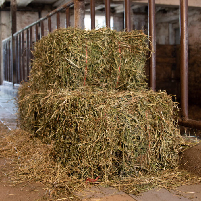 hay bales 2