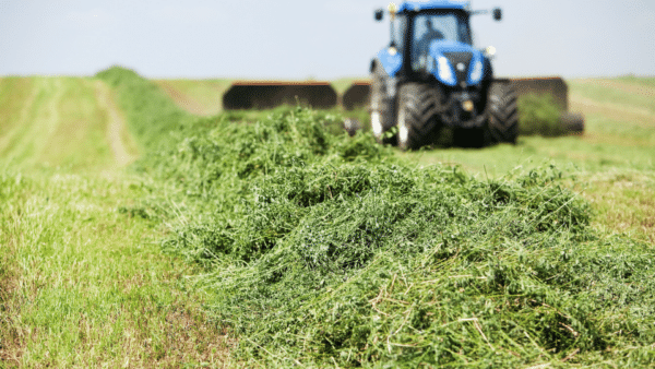 A tractor harvesting premium alfalfa hay